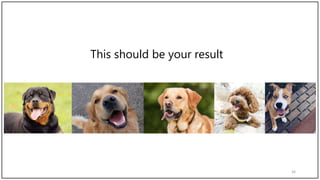 Image Scrolling Tutorial in PowerPoint | PPTX