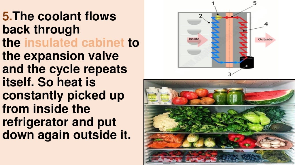 COOLING CONCEPT OF VEGETABLES IN REFRIGERATOR