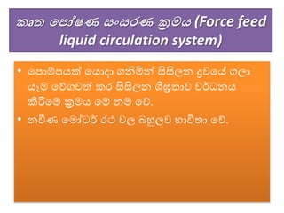 කෘත පපෝෂණ සංසරණ ක්‍රම (Force feed
liquid circulation system)
• වපොේපයක් වයොදා ගනිමින් සිසිලන ද්‍රෙවේ ගලා
යෑම වේගෙත් කර සිසිලන ශීඝ්‍රතාෙ ෙර්ධනය
කිරීවේ ක්‍රමය වේ නේ වේ.
• නවීණ වමෝටර් රථ ෙල බහුලෙ භාවිතා වේ.
 
