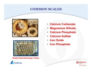 COMMON SCALES
ƒ Calcium Carbonate
ƒ Magnesium Silicate
ƒ Calcium Phosphate
ƒ Calcium Sulfate
ƒ Iron Oxide
ƒ Iron Phosphate
Scaled Heat Exchanger Tubes
 