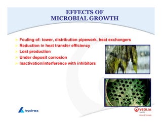 EFFECTS OF
MICROBIAL GROWTH
MICROBIAL GROWTH
¾ Fouling of: tower, distribution pipework, heat exchangers
¾ Reduction in heat transfer efficiency
¾ Lost production
¾ Under deposit corrosion
¾ Inactivation/interference with inhibitors
 