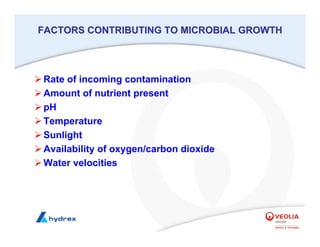 FACTORS CONTRIBUTING TO MICROBIAL GROWTH
FACTORS CONTRIBUTING TO MICROBIAL GROWTH
¾Rate of incoming contamination
¾Amount of nutrient present
¾pH
¾Temperature
¾Sunlight
¾Availability of oxygen/carbon dioxide
¾Water velocities
 