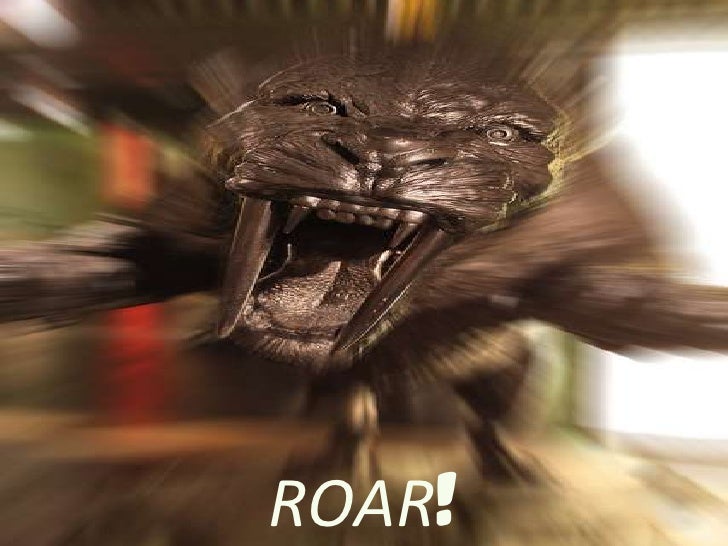 Cool Photography Techniques