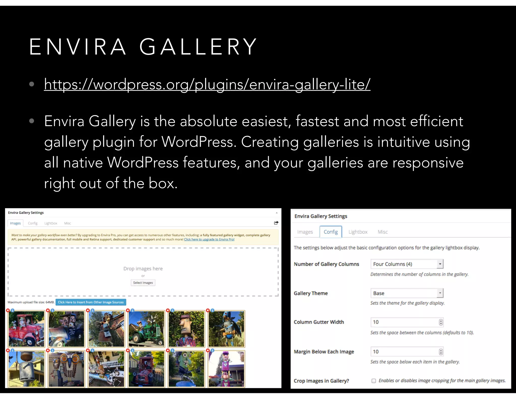 E N V I R A G A L L E RY
• https://wordpress.org/plugins/envira-gallery-lite/
• Envira Gallery is the absolute easiest, fastest and most efficient
gallery plugin for WordPress. Creating galleries is intuitive using
all native WordPress features, and your galleries are responsive
right out of the box.
 
