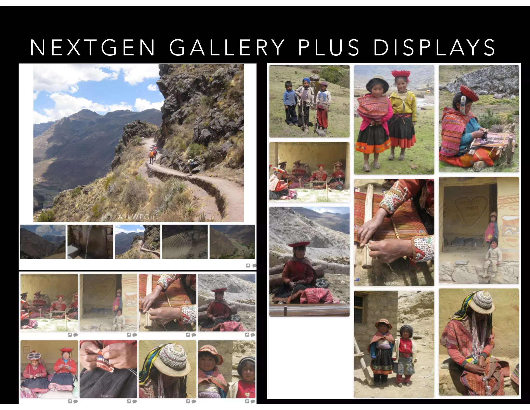 N E X T G E N G A L L E RY P L U S D I S P L AY S
 