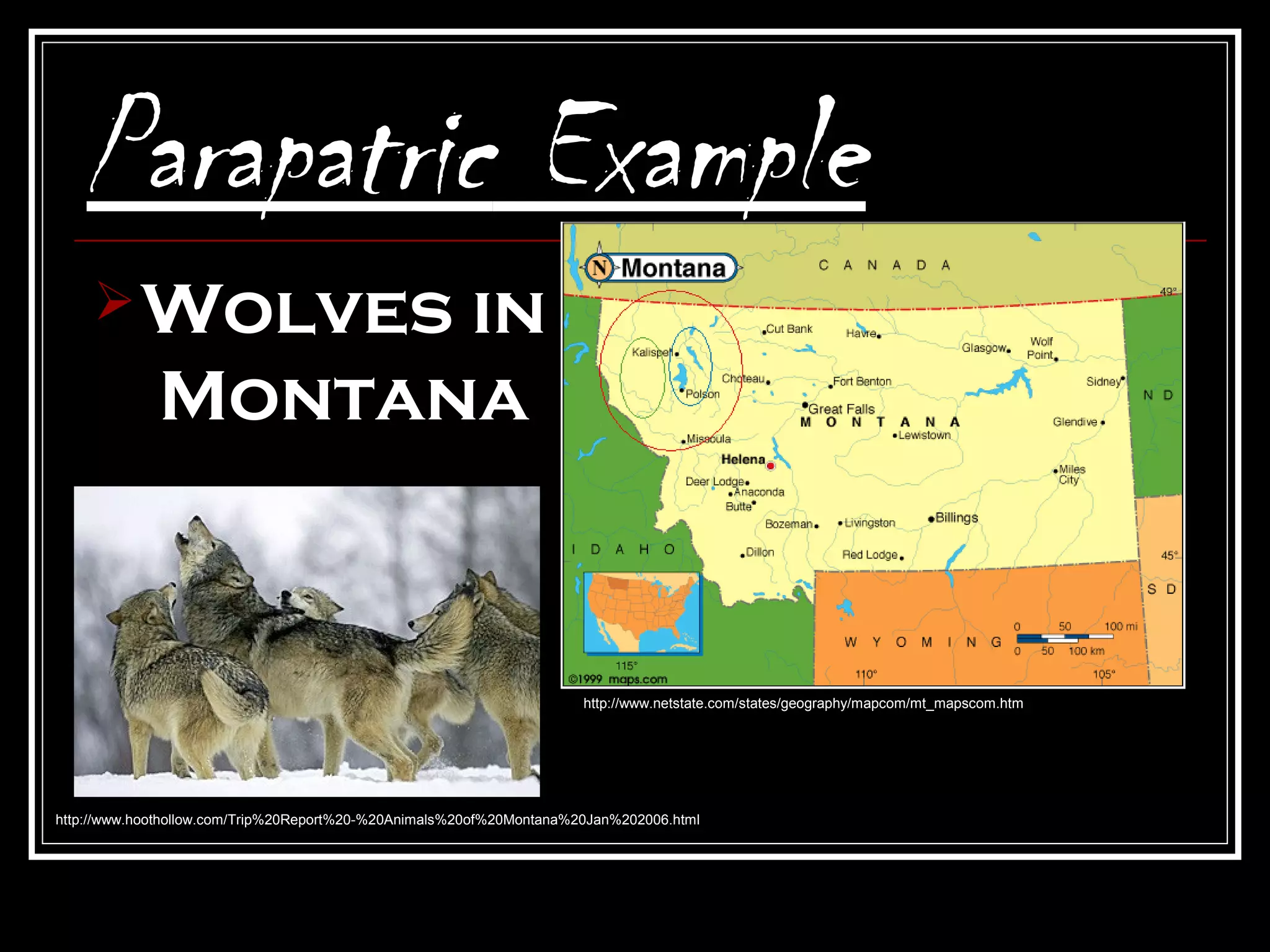 Parapatric Example
      Wolves      in
             Montana


                                                                      http://www.netstate.com/states/geography/mapcom/mt_mapscom.htm




http://www.hoothollow.com/Trip%20Report%20-%20Animals%20of%20Montana%20Jan%202006.html
 