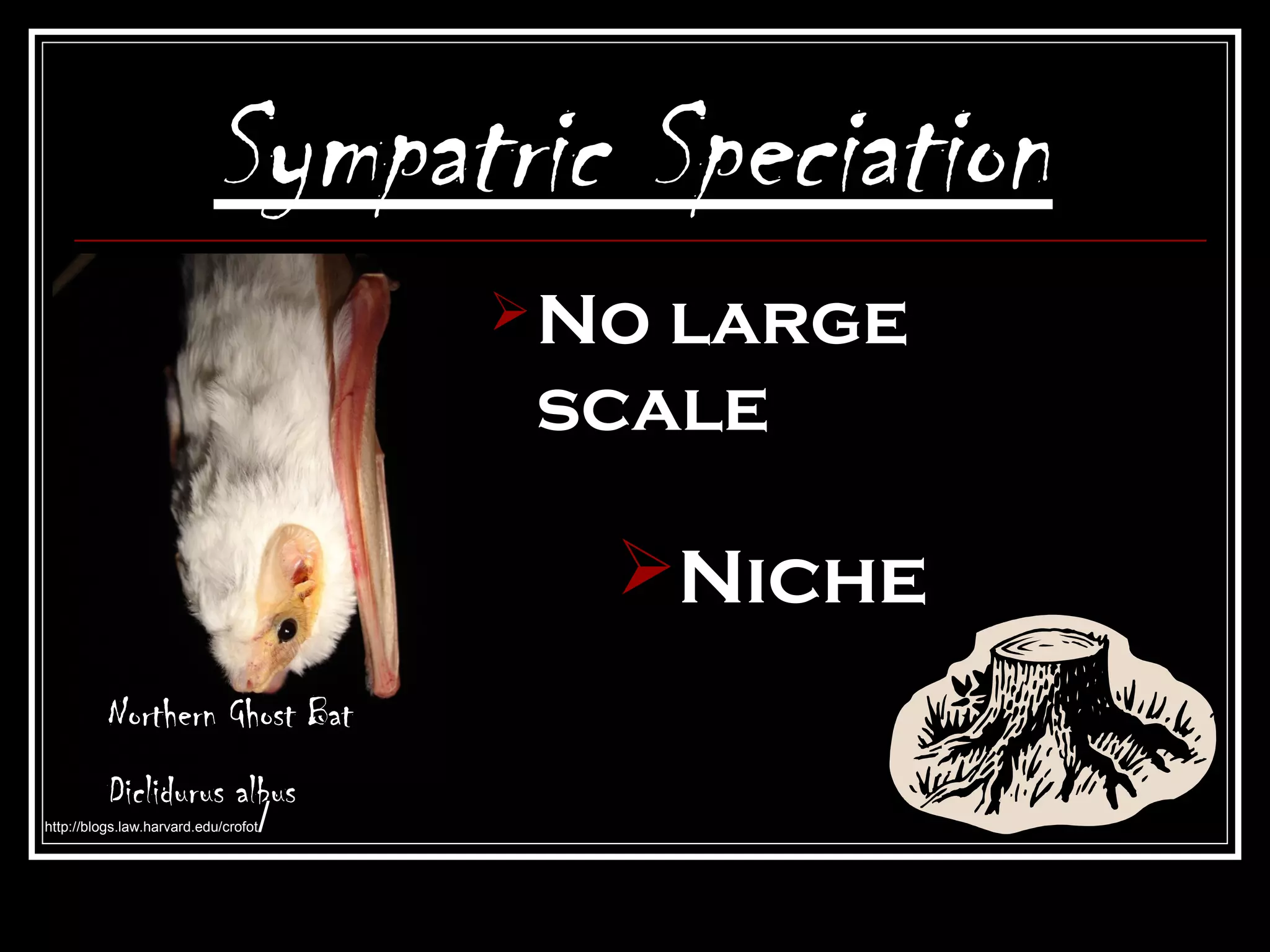Sympatric Speciation
                                       Nolarge
                                       scale

                                         Niche
          Northern Ghost Bat
          Diclidurus albus
                       /
http://blogs.law.harvard.edu/crofot
 