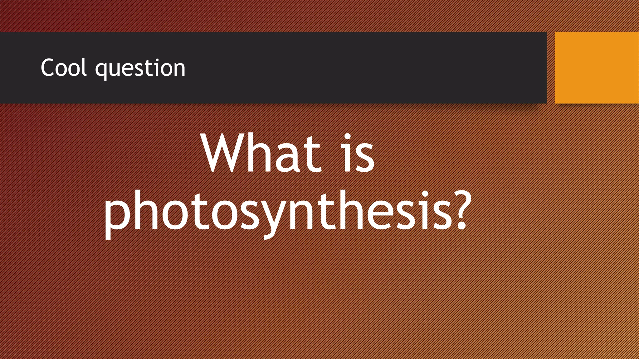Cool question
What is
photosynthesis?