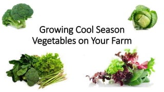 Growing Cool Season
Vegetables on Your Farm
 