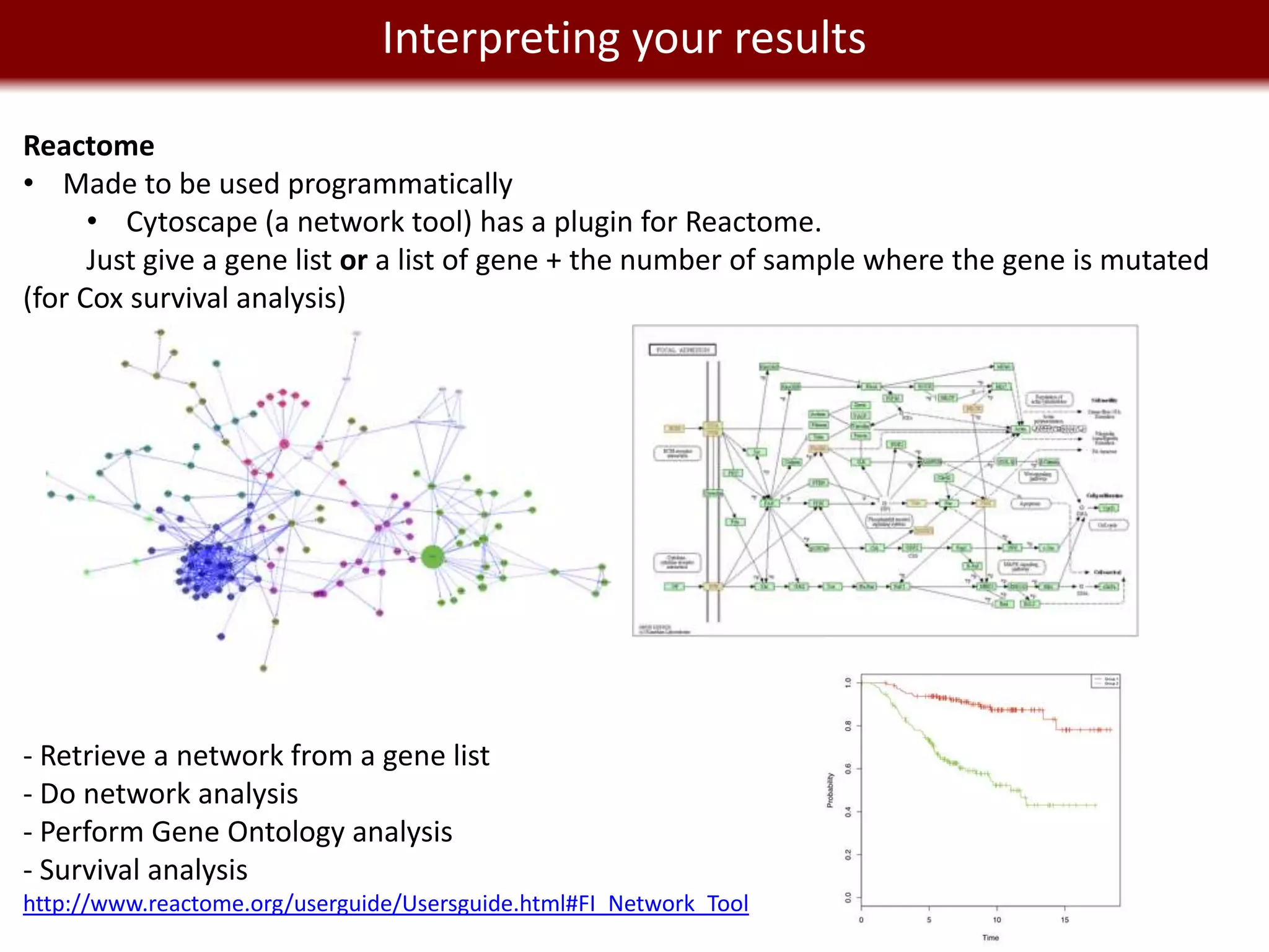 We live in a Big Datayour results
                  Interpreting world

Reactome
• Made to be used programmatically
      • Cytoscape (a network tool) has a plugin for Reactome.
      Just give a gene list or a list of gene + the number of sample where the gene is mutated
(for Cox survival analysis)




- Retrieve a network from a gene list
- Do network analysis
- Perform Gene Ontology analysis
- Survival analysis
http://www.reactome.org/userguide/Usersguide.html#FI_Network_Tool
 