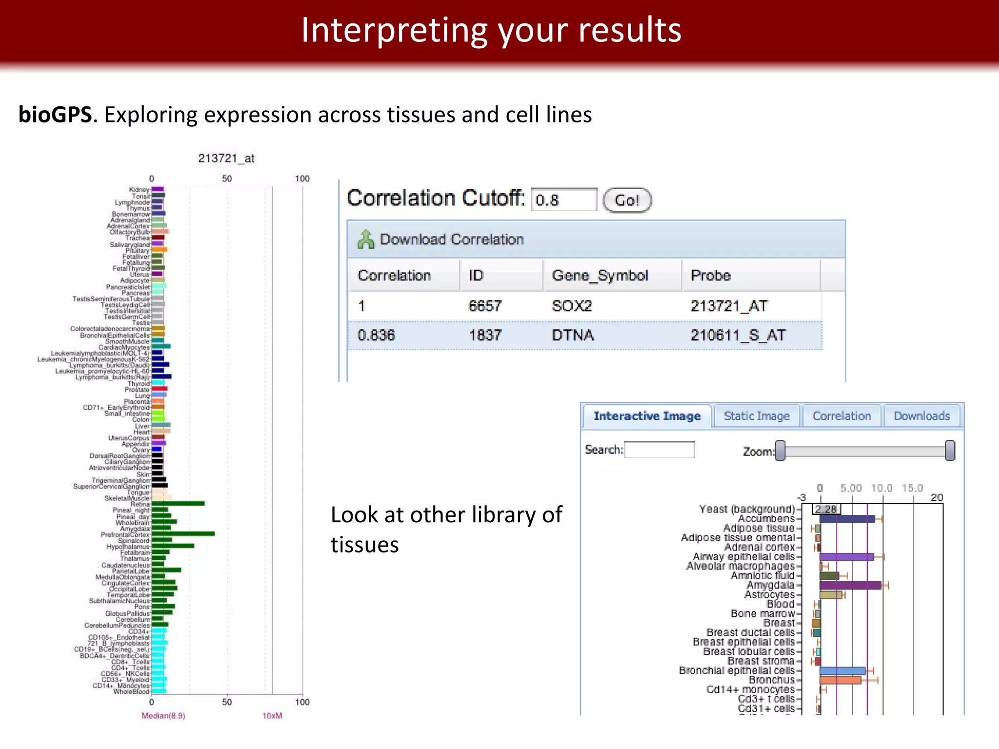 We live in a Big Datayour results
                 Interpreting world

bioGPS. Exploring expression across tissues and cell lines




                               Look at other library of
                               tissues
 