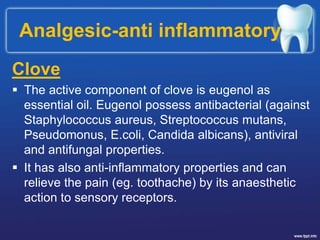 Analgesic-anti inflammatory
Clove
 The active component of clove is eugenol as
essential oil. Eugenol possess antibacterial (against
Staphylococcus aureus, Streptococcus mutans,
Pseudomonus, E.coli, Candida albicans), antiviral
and antifungal properties.
 It has also anti-inflammatory properties and can
relieve the pain (eg. toothache) by its anaesthetic
action to sensory receptors.
 