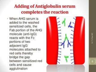 Coombs test and eliza