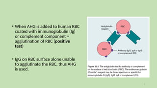 Complement Fixation Rbc Coombs Test, GSH, GXM hematology 23032021.pptx