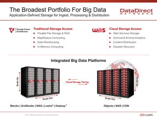 DDN: Massively-Scalable Platforms and Solutions Engineered for the Big ...