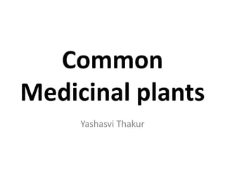 Common
Medicinal plants
Yashasvi Thakur
 