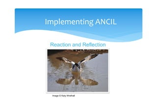 Implementing ANCIL

 Reaction and Reflection




 Image © Katy Wrathall
 