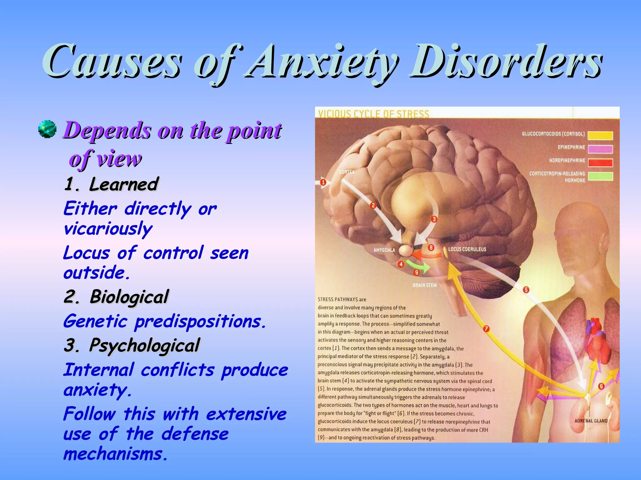 Causes of Anxiety Disorders Depends on the point   of view 1. Learned Either directly or vicariously Locus of control seen outside. 2. Biological Genetic predispositions. 3. Psychological Internal conflicts produce anxiety. Follow this with extensive use of the defense mechanisms. 