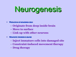 Neurogenesis Production of new brain cells Originate from deep inside brain Move to surface Link up with other neurons New hope for brain damage Inject immature cells into damaged site Constraint-induced movement therapy Drug therapy 