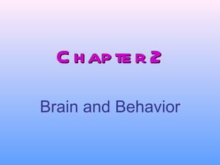 Brain and Behavior Chapter 2 