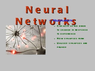 Neural Networks Neuroplasticity Capacity of the brain to change in response to experience New synapses form Unused synapses are pruned 
