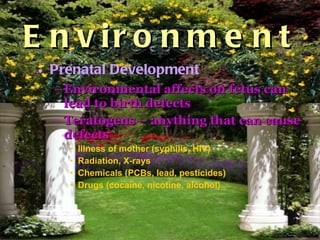 Environment <ul><li>Prenatal Development </li></ul><ul><ul><li>Environmental affects on fetus can lead to birth defects </...