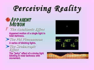 Perceiving Reality Apparent Motion The Autokinetic Effect Apparent motion of a single light in total darkness. The Phi Phenomenon A series of blinking lights. The Stroboscopic Effect The “jerky” effect of a strobe light blinking in total darkness with movement. 