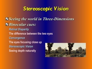 Stereoscopic Vision Seeing the world in Three-Dimensions Binocular cues: Retinal Disparity The difference between the two eyes Convergence The eyes focusing close up Stereoscopic Vision Seeing depth naturally 