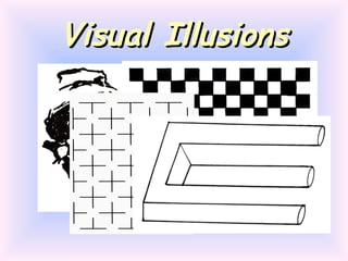 Visual Illusions 