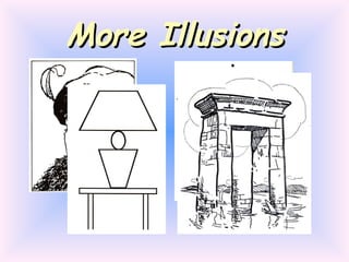 More Illusions 