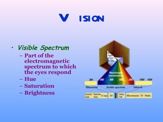 Vision Visible Spectrum Part of the electromagnetic spectrum to which the eyes respond Hue Saturation  Brightness   