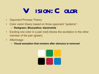 Vision: Color Opponent Process Theory   Color vision theory based on three opponent “systems”:  Red/green; Blue/yellow; black/white Exciting one color in a pair (red) blocks the excitation in the other member of the pair (green) Afterimage:   Visual sensation that remains after stimulus is removed 