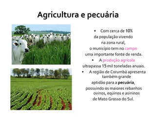 Agricultura e pecuária Com cerca de  10%   da população vivendo  na zona rural,  o município tem no  campo   uma importante fonte de renda. A  produção agrícola   ultrapassa  15  mil toneladas anuais. A região de Corumbá apresenta também grande  aptidão para a  pecuária ,  possuindo os maiores rebanhos ovinos, eqüinos e asininos  de Mato Grosso do Sul.  