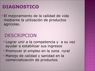 DIAGNOSTICO El mejoramiento de la calidad de vida  mediante la utilización de productos agrícolas. DESCRIPCION Lograr unir a la competencia y  a su vez ayudar a estabilizar sus ingresos Promover el empleo en la zona  rural Manejo de calidad y sanidad en la comercialización de productos 