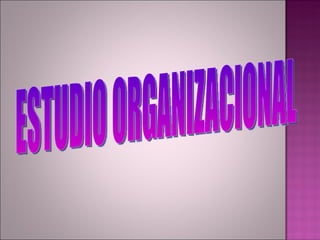 ESTUDIO ORGANIZACIONAL 