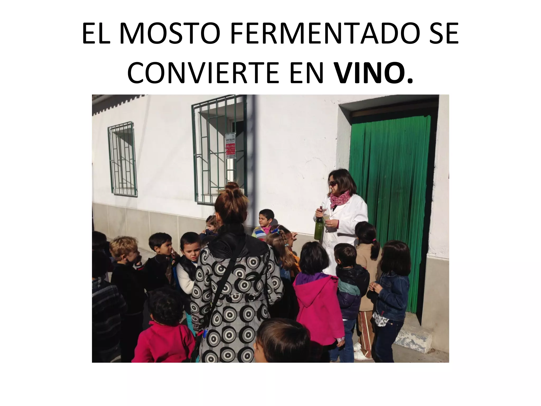 EL MOSTO FERMENTADO SE
CONVIERTE EN VINO.