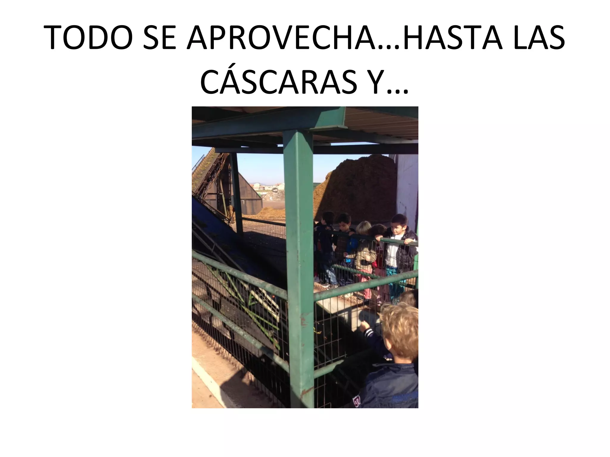TODO SE APROVECHA…HASTA LAS
CÁSCARAS Y…