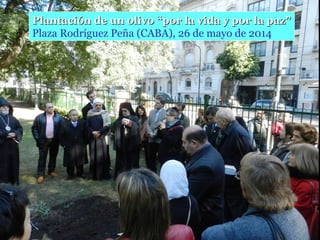 Plantación de un olivo “por la vida y por la paz”Plantación de un olivo “por la vida y por la paz”
Plaza Rodríguez Peña (CABA), 26 de mayo de 2014
 