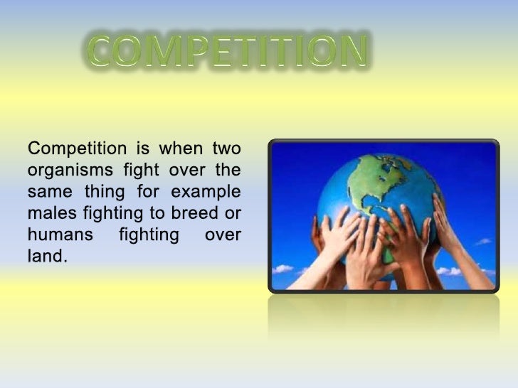 competition vs cooperation essay
