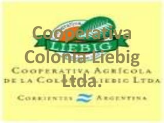 Cooperativa Colonia Liebig Ltda. 
