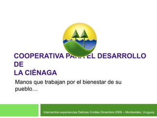 Cooperativa para el Desarrollo deLa Ciénaga Manos que trabajan por el bienestar de su pueblo… Intercambio experiencias Delicias Criollas Diciembre 2009 – Montevideo, Uruguay 