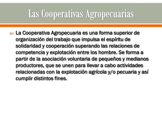    La Cooperativa Agropecuaria es una forma superior de
    organización del trabajo que impulsa el espíritu de
    solidaridad y cooperación superando las relaciones de
    competencia y explotación entre los hombre. Se forma a
    partir de la asociación voluntaria de pequeños y medianos
    productores, que se unen para llevar a cabo actividades
    relacionadas con la explotación agrícola y/o pecuaria y así
    cumplir distintos fines.
 