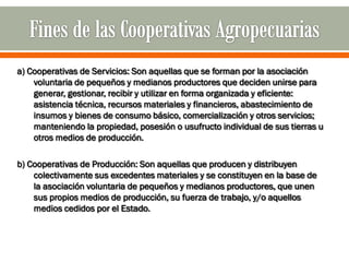 a) Cooperativas de Servicios: Son aquellas que se forman por la asociación
    voluntaria de pequeños y medianos productores que deciden unirse para
    generar, gestionar, recibir y utilizar en forma organizada y eficiente:
    asistencia técnica, recursos materiales y financieros, abastecimiento de
    insumos y bienes de consumo básico, comercialización y otros servicios;
    manteniendo la propiedad, posesión o usufructo individual de sus tierras u
    otros medios de producción.

b) Cooperativas de Producción: Son aquellas que producen y distribuyen
    colectivamente sus excedentes materiales y se constituyen en la base de
    la asociación voluntaria de pequeños y medianos productores, que unen
    sus propios medios de producción, su fuerza de trabajo, y/o aquellos
    medios cedidos por el Estado.
 