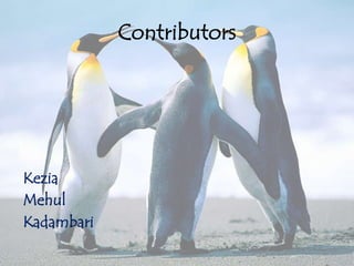Contributors




Kezia
Mehul
Kadambari
 