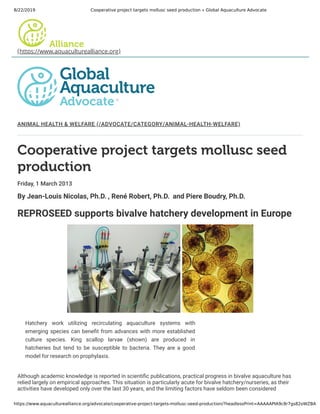 8/22/2019 Cooperative project targets mollusc seed production « Global Aquaculture Advocate
https://www.aquaculturealliance.org/advocate/cooperative-project-targets-mollusc-seed-production/?headlessPrint=AAAAAPIA9c8r7gs82oWZBA
ANIMAL HEALTH & WELFARE (/ADVOCATE/CATEGORY/ANIMAL-HEALTH-WELFARE)
Cooperative project targets mollusc seed
production
Friday, 1 March 2013
By Jean-Louis Nicolas, Ph.D. , René Robert, Ph.D.  and Piere Boudry, Ph.D.
REPROSEED supports bivalve hatchery development in Europe
Although academic knowledge is reported in scienti c publications, practical progress in bivalve aquaculture has
relied largely on empirical approaches. This situation is particularly acute for bivalve hatchery/nurseries, as their
activities have developed only over the last 30 years, and the limiting factors have seldom been considered
Hatchery work utilizing recirculating aquaculture systems with
emerging species can bene t from advances with more established
culture species. King scallop larvae (shown) are produced in
hatcheries but tend to be susceptible to bacteria. They are a good
model for research on prophylaxis.
(https://www.aquaculturealliance.org)
 