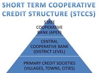STATE
COOPERATIVE
BANK (APEX)
CENTRAL
COOPERATIVE BANK
(DISTRICT LEVEL)
PRIMARY CREDIT SOCIETIES
(VILLAGES, TOWNS, CITIES)
 