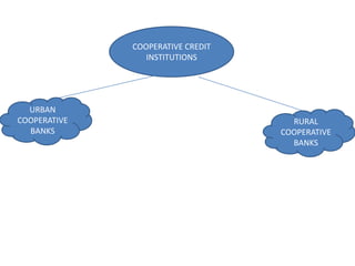 COOPERATIVE CREDIT
INSTITUTIONS
URBAN
COOPERATIVE
BANKS
RURAL
COOPERATIVE
BANKS
 