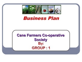 Business Plan
Cane Farmers Co-operative
Society

 