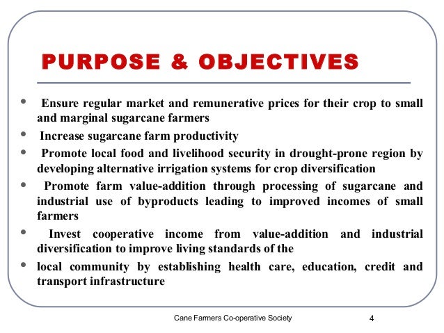 business plan for a cooperative society