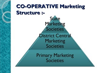 CO-OPERATIVE Marketing
Structure :-

 